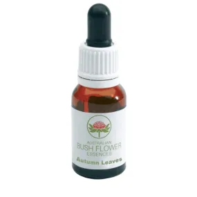 Essenza Singola Autumn Leaves 15 ml - Australian Bush